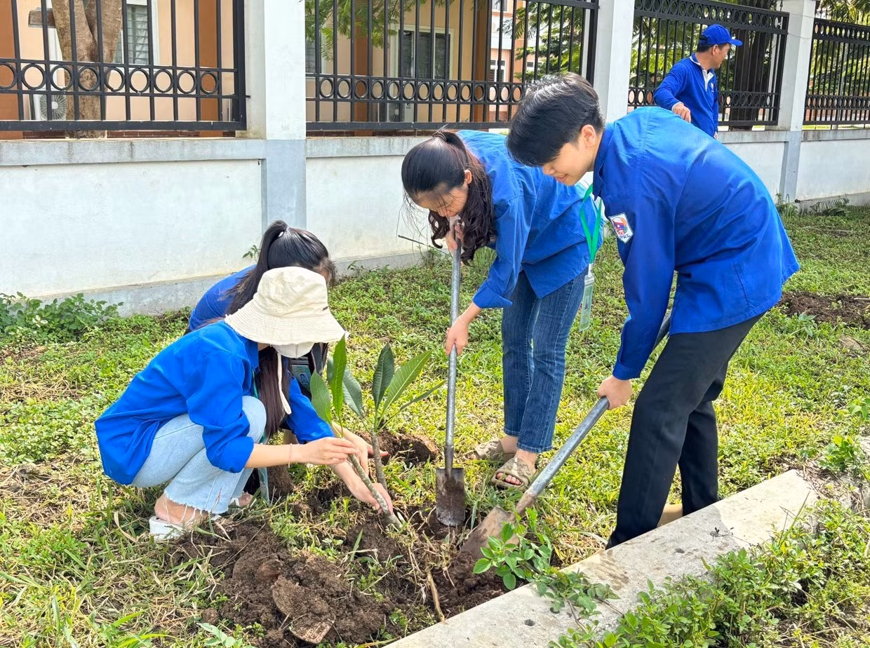 Các đoàn viên còn trồng những cây hoa Champa để lưu lại những kỷ niệm trong chuyến tình nguyện đặc biệt tại nước Lào.