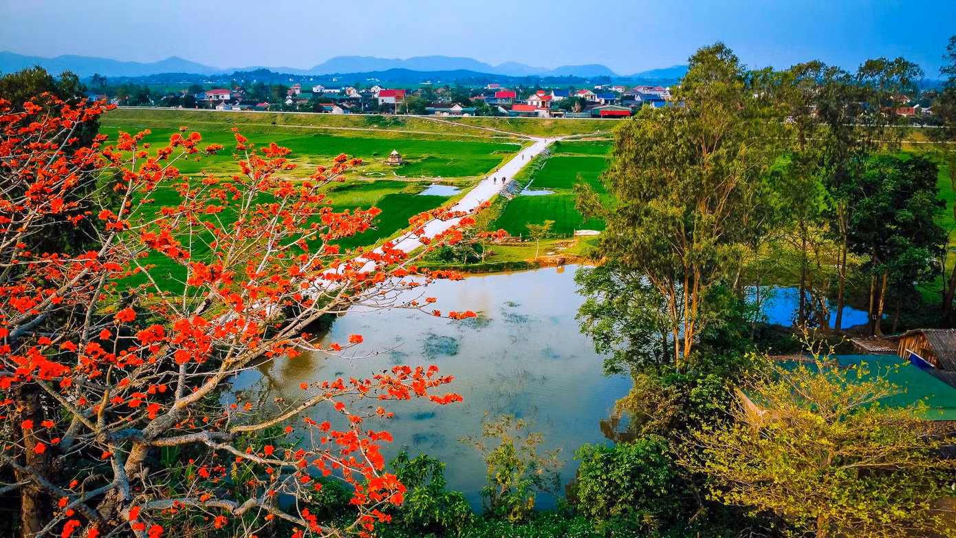 Từ trên cao, những cây hoa gạo đỏ rực như những ngọn đuốc.
