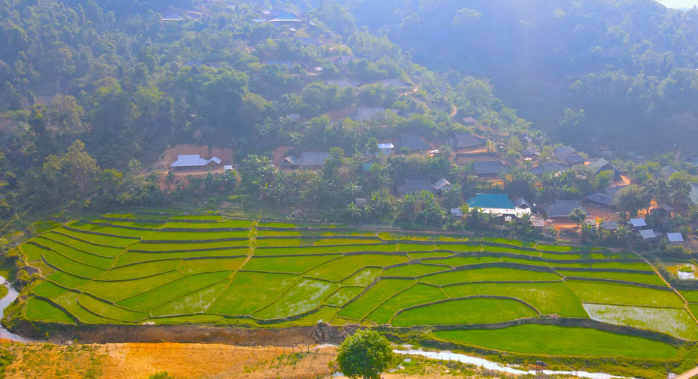 Nhìn từ trên cao, những thửa ruộng bậc thang ở huyện Quế Phong nằm xen lẫn núi đồi xanh bát ngát.