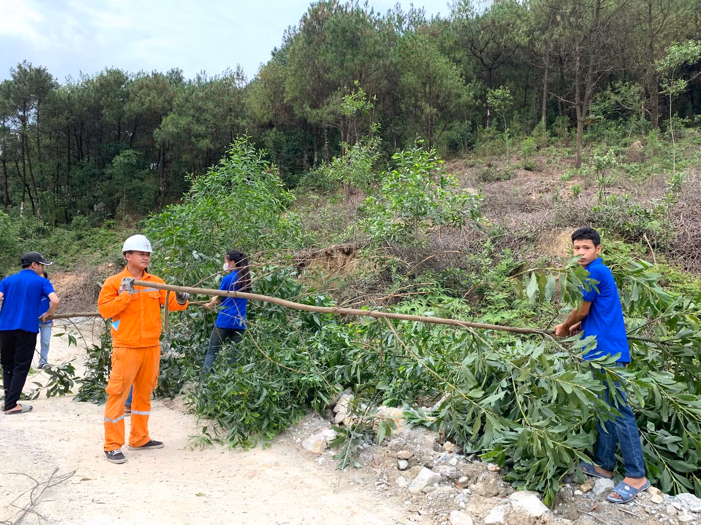 Các cơ sở đoàn trên toàn tỉnh Nghệ An phối hợp với các cơ quan điện lực tiến hành phát quang bụi rậm, chặt cây, giải tỏa hành lang nơi có đường lưới điện đi qua, đảm bảo việc thi công được triển khai thuận tiện.