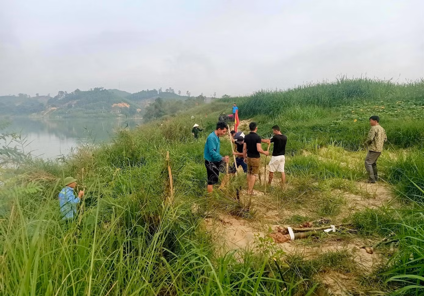 Việc trồng tre, mét dọc bờ sông Lam sẽ giúp giữ đất, hạn chế tình trạng xói mòn, sạt lở đất trên địa bàn huyện Anh Sơn.