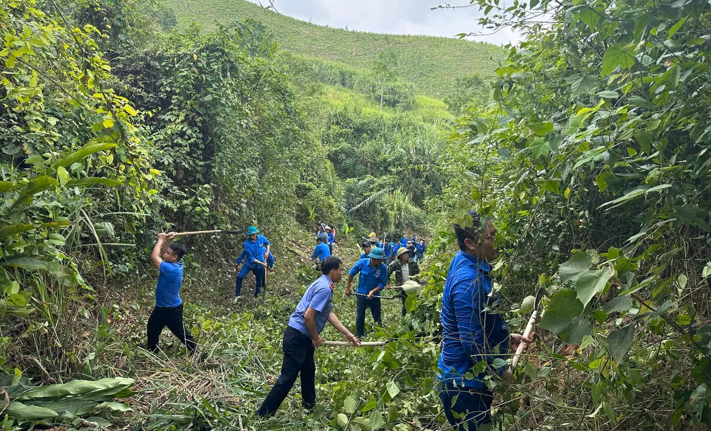 Các đoàn viên bất chấp nắng nóng, nhiệt tình tham gia phát quang các hệ thống đường điện.