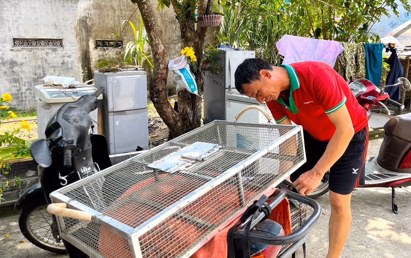Không ai biết nghề bắt chuột, làm thịt chuột ở xã Đức Thành có từ bao giờ. Nhưng tiếng đồn vang xa, mọi người trong và ngoài tỉnh đều tìm đến đây mua chuột. Dần dần, chợ chuột ở xã Đức Thành ngày càng phát triển lớn. “Trước đây vào những ngày mưa, người dân thường tranh thủ ra đồng bắt chuột để bảo vệ mùa màng rồi tiện thể cải thiện bữa ăn. Chuột nhiều ăn không hết, một số người lại mang ra dọc đường bán cho người dân trong vùng. Rồi dần dần nơi đây trở thành chợ mua bán chuột", ông Cung Đình Phong (60 tuổi, trú xã Đức Thành) nói.