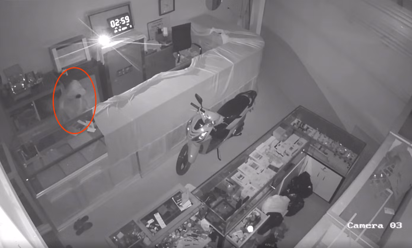 Huy đột nhập vào tiệm vàng lấy trộm 4 khay vàng với tổng giá trị gần 300 triệu đồng.
