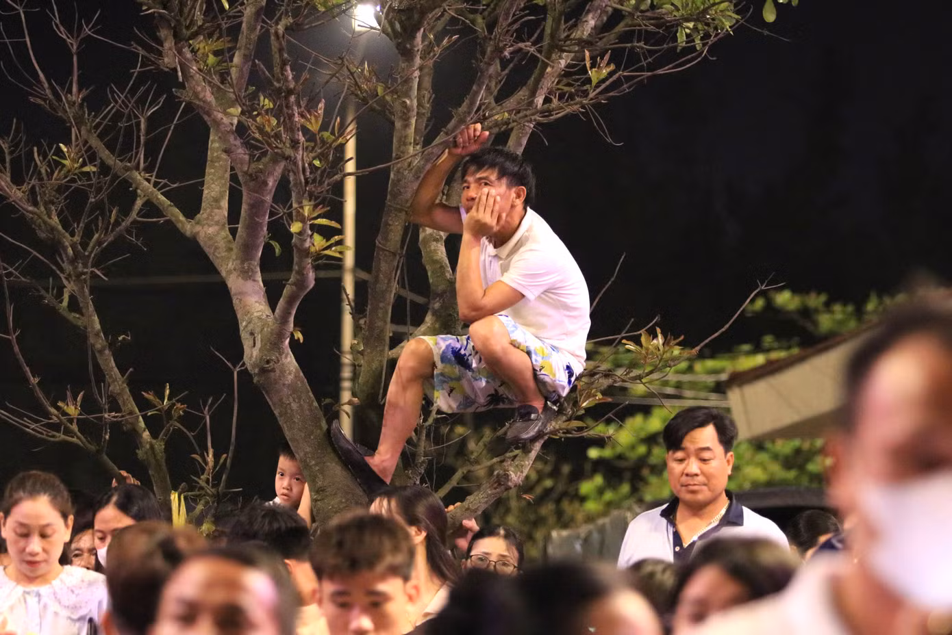 Một người đàn ông trèo lên cây cao để chờ đón xem màn bắn pháo hoa.