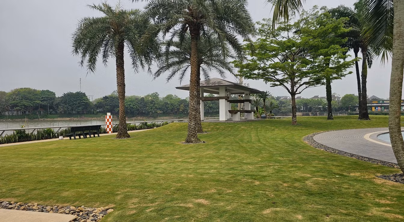 Dải đất bị chiếm dụng nhiều năm. Ảnh: Hà Hồng