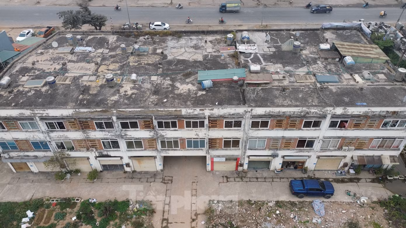 Chợ Mai Lĩnh (phường Đồng Mai, quận Hà Đông) được UBND TP. Hà Đông (tỉnh Hà Tây cũ) chấp thuận chủ trương đầu tư năm 2007. Dự án do Công ty cổ phần Phát triển Thương mại Việt Nam làm chủ đầu tư, được thi công từ năm 2010 và đưa vào sử dụng năm 2014.