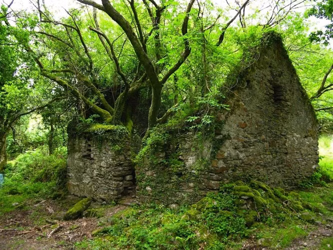  Đường mòn Kerry giữa Sneem và Kenmare ở Ireland gợi lên cảm giác đầy ma quái