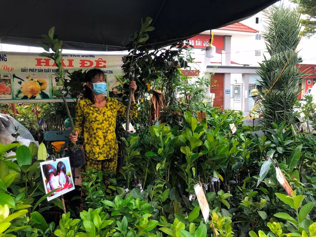 Sản phẩm cây giống được nhiều người chọn mua