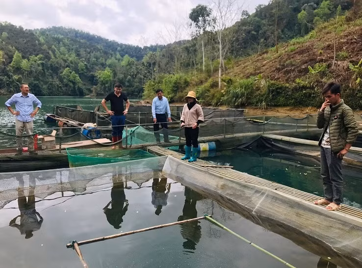 Cán bộ chuyên môn ở Lạng Sơn hướng dẫn người dân nuôi cá lồng mang lại năng suất, chất lượng cao.