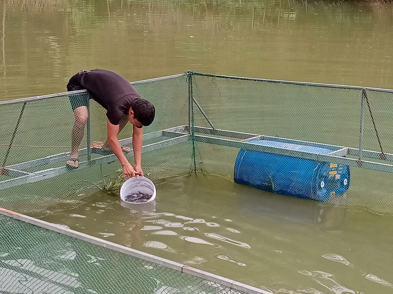 Tổ khuyến nông cộng đồng ở Lạng Sơn vận động người dân phát triển mô hình nuôi cá nheo Mỹ đem lại hiệu quả kinh tế cao.