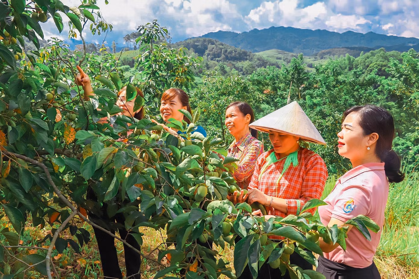 Học tập mô hình phát triển cây đặc sản quả hồng Bảo Lâm của gia đình chị Hoàng Thị Hiển, thôn Chè Lân, xã Hòa Cư, huyện Cao Lộc- một tấm gương phụ nữ vượt khó vươn lên làm giàu chính đáng.