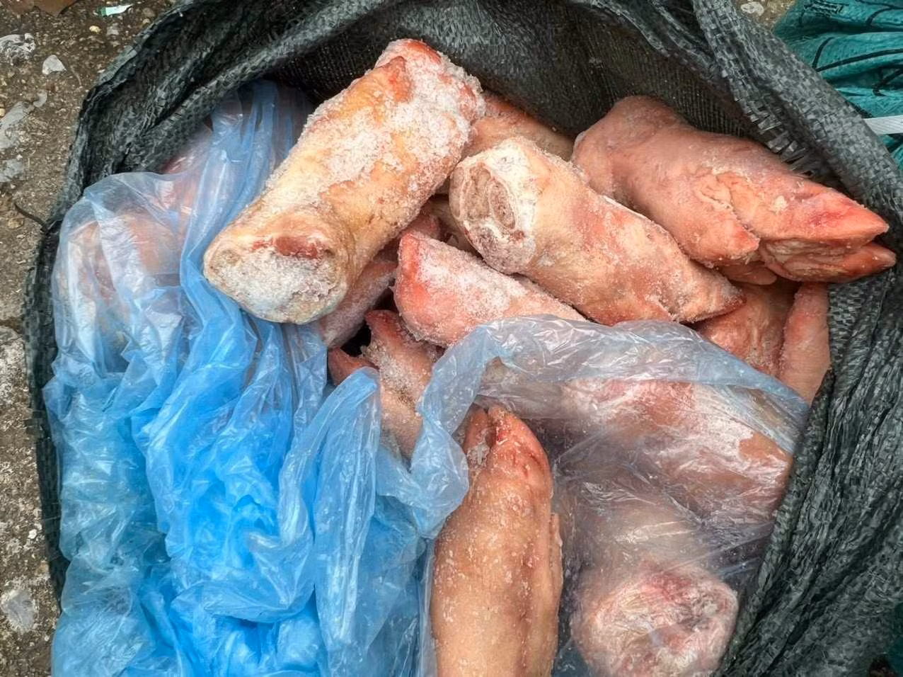 Mặc dù đã cấp đông nhưng đa số hàng móng giò lợn biểu hiện xuống cấp, bốc mùi hôi thối. Ảnh: Duy Chiến