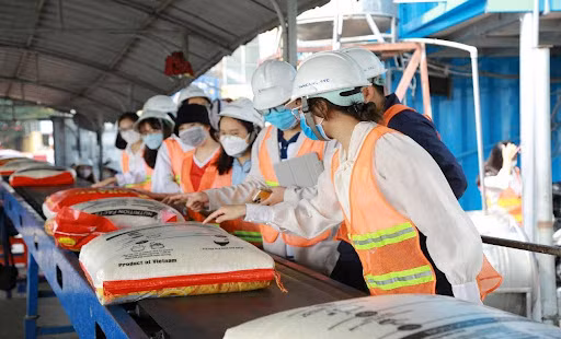 Các hoạt động gắn kết thực tiễn góp phần trang bị kỹ năng nghề nghiệp cho sinh viên