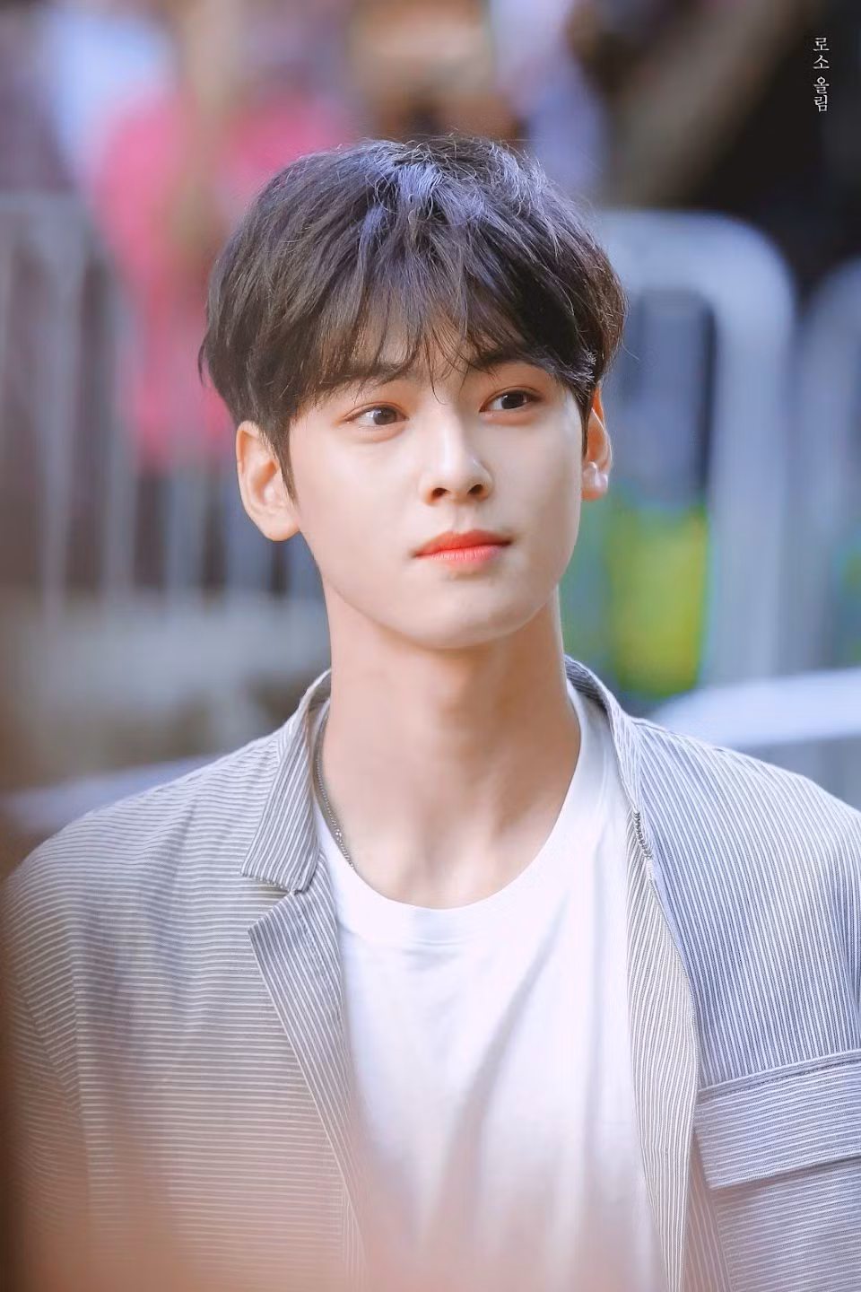 10. Cha Eun Woo: Ngoài tài năng âm nhạc, Cha Eun Woo - hát chính, visual của nhóm ASTRO - được chú ý với tư cách diễn viên. Idol người Hàn còn thường xuất hiện trong các bảng xếp hạng idol Kpop đẹp trai nhất Hàn Quốc. Một số phim được chú ý nhất của mỹ nam Hàn Quốc là Vẻ đẹp đích thực và Người đẹp Gangnam.