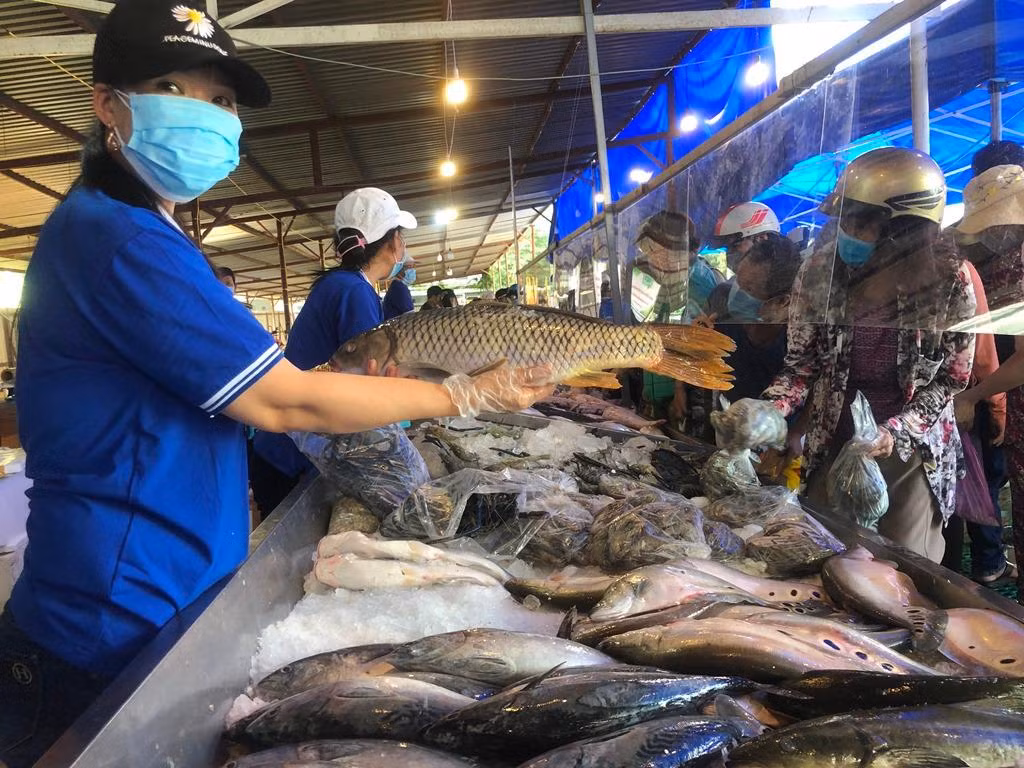 Cá chép giòn chỉ 80.000 đồng/kg.