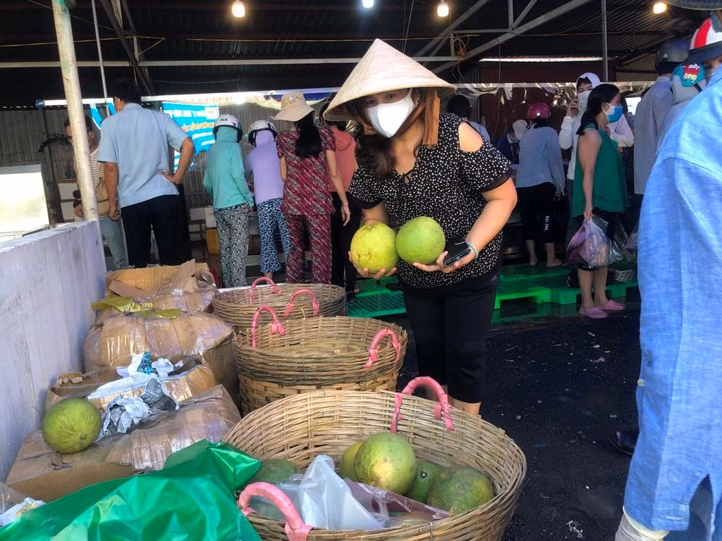 Bưởi năm roi quả to, giá 25.000 đồng/kg, dừa dứa 12.000 đồng/trái.