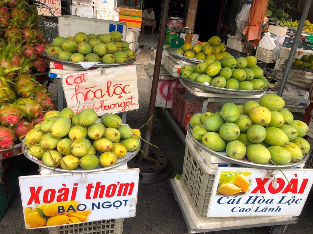 Xoài cát Hòa Lộc bao ăn, giá chỉ từ 30.000 đồng/kg. Tiểu thương cho biết chưa bao giờ xoài lại có giả rẻ như lúc này.