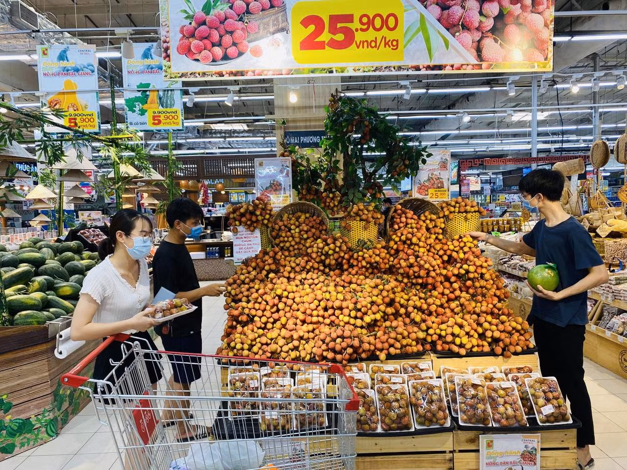 Trong siêu thị, quả vải có giá cực mềm để khách hàng chọn mua