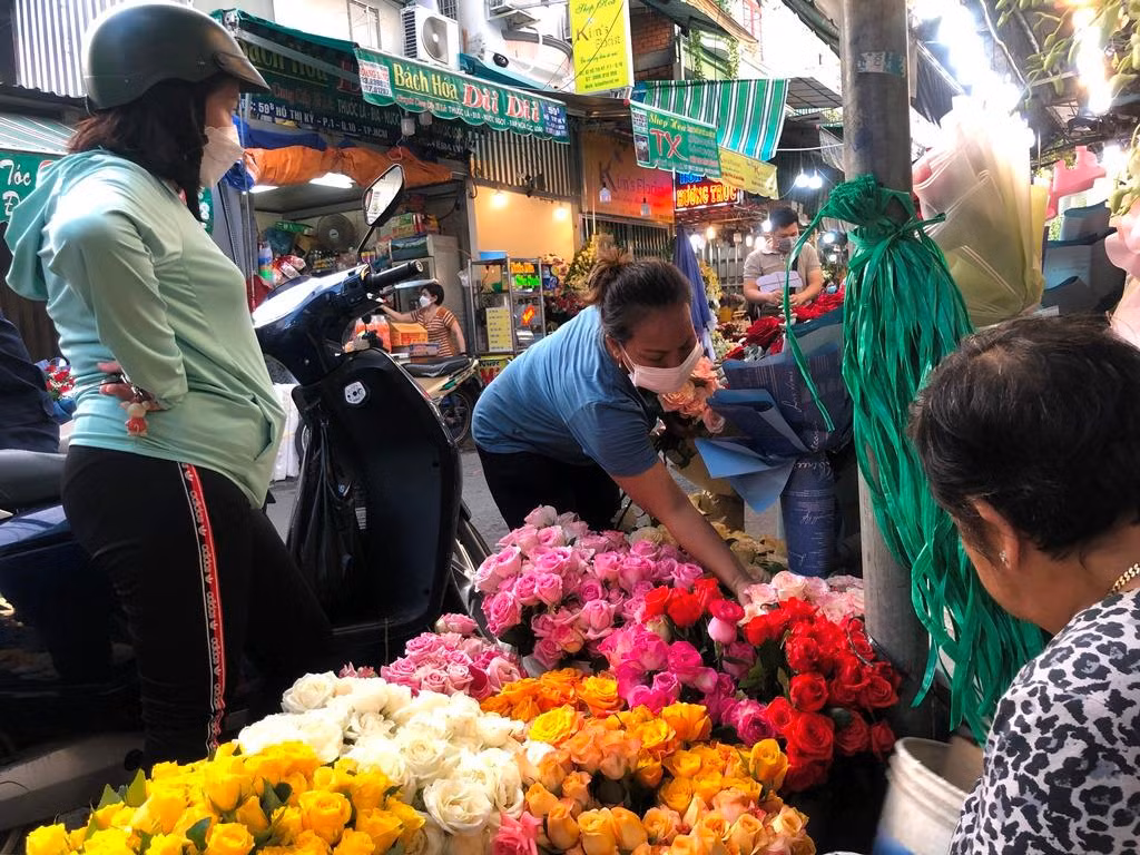 Hoa hồng nhập khẩu có kích cỡ lớn, cánh dày, màu sắc rực rỡ