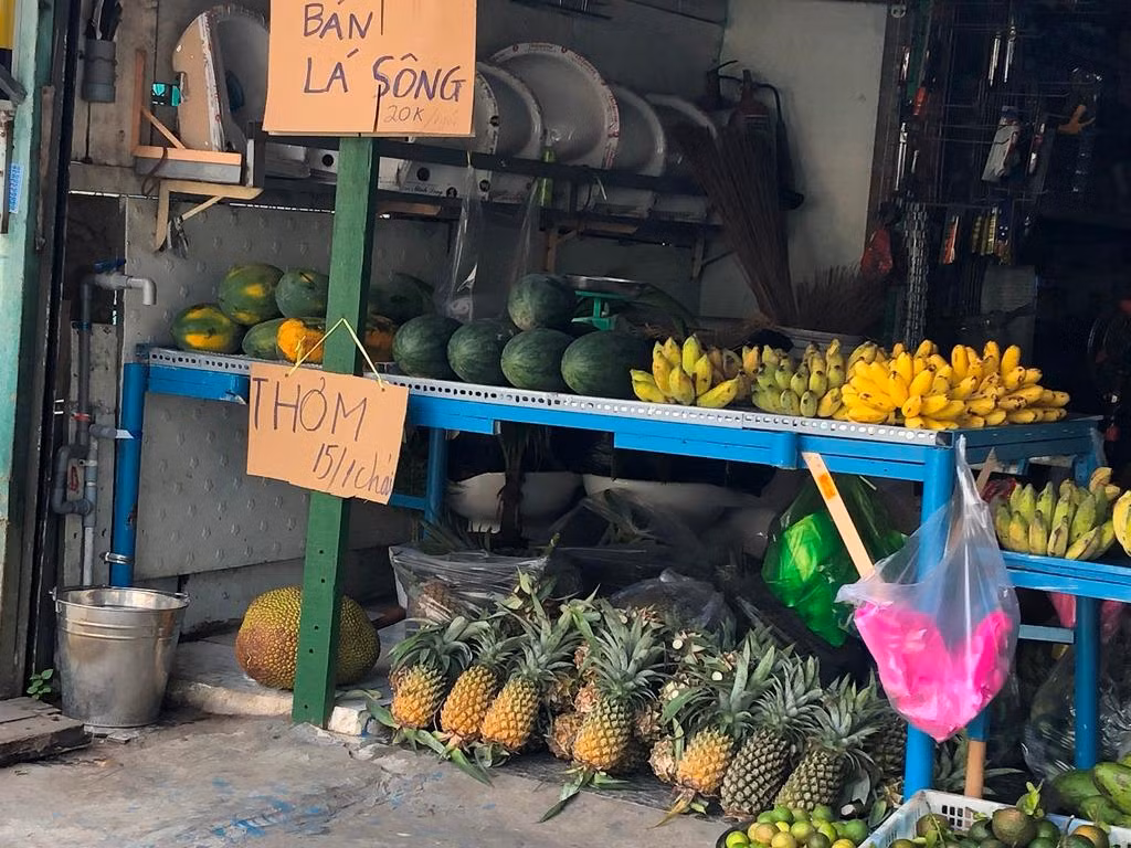 Trái cây bày đầy kệ, khách đến lựa mua trực tiếp.
