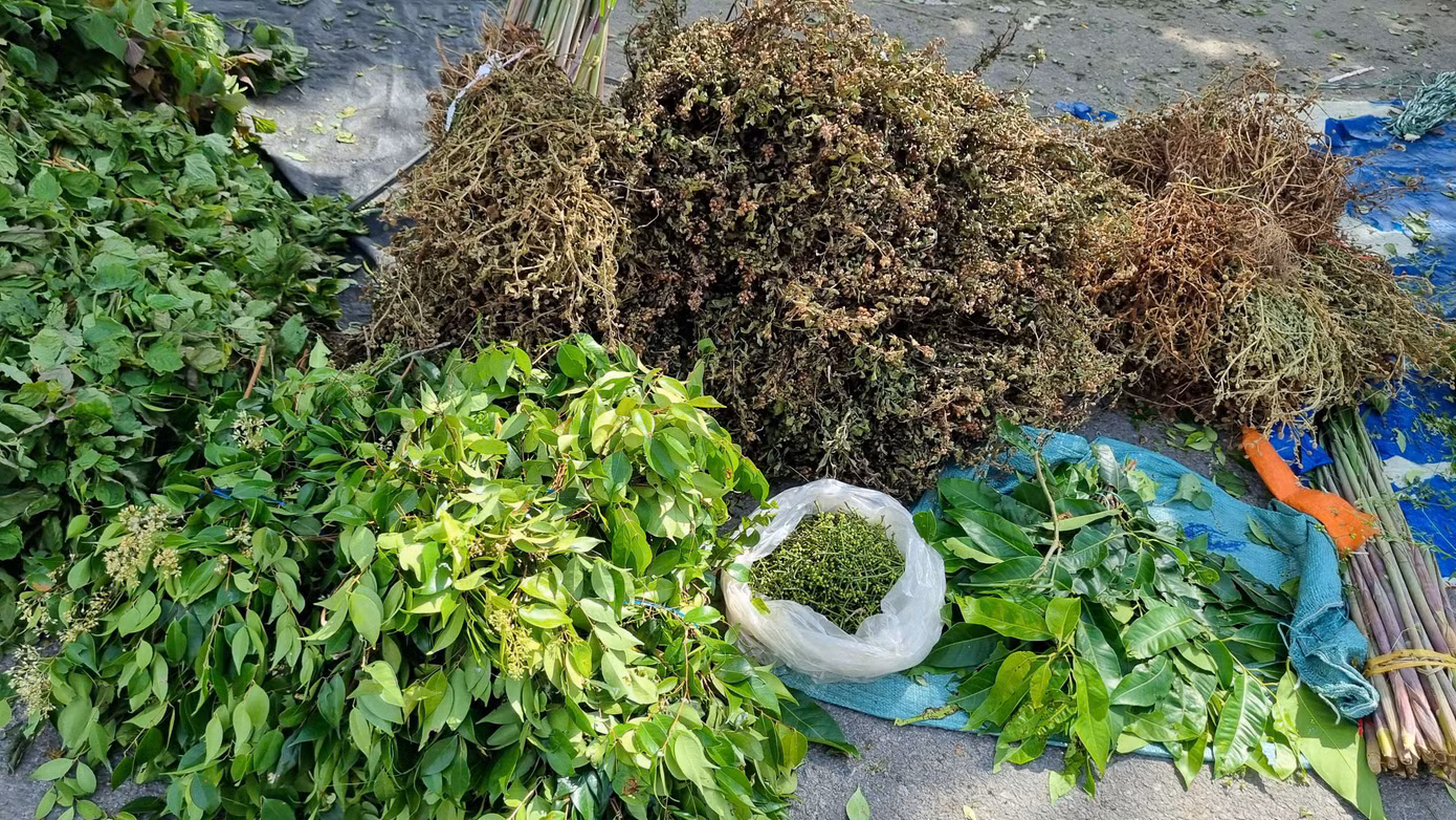 Rất nhiều loại lá như hương nhu, hoa khóm, lá nổ, ngát hương, huỳnh đàn…giá từ 10 - 20 nghìn đồng/ bó.
