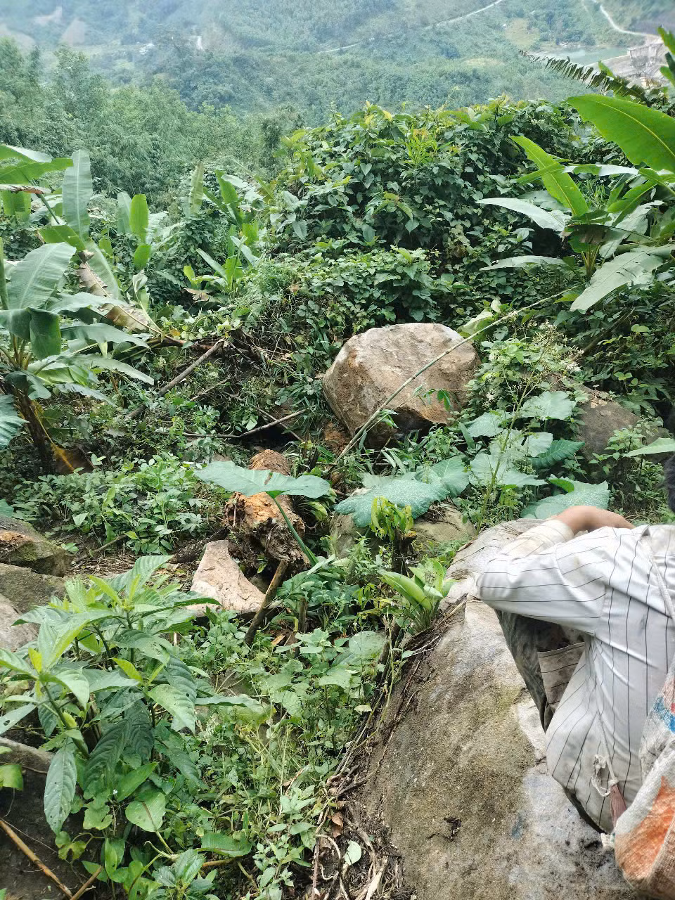 Nhiều tảng đá lớn lăn xuống ngôi làng Tu Hon sau các trận động đất kích thích.