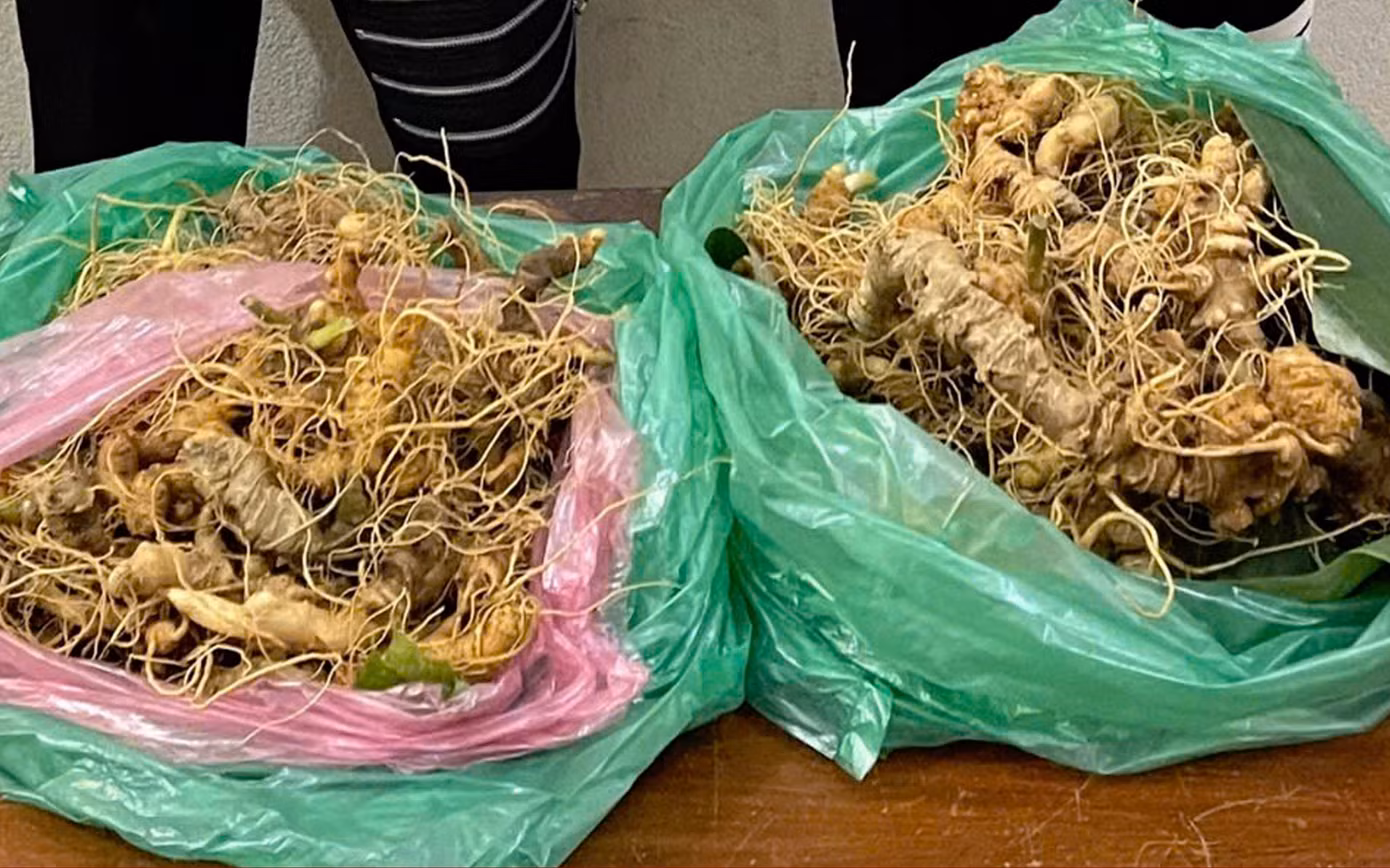 Tang vật vụ án.