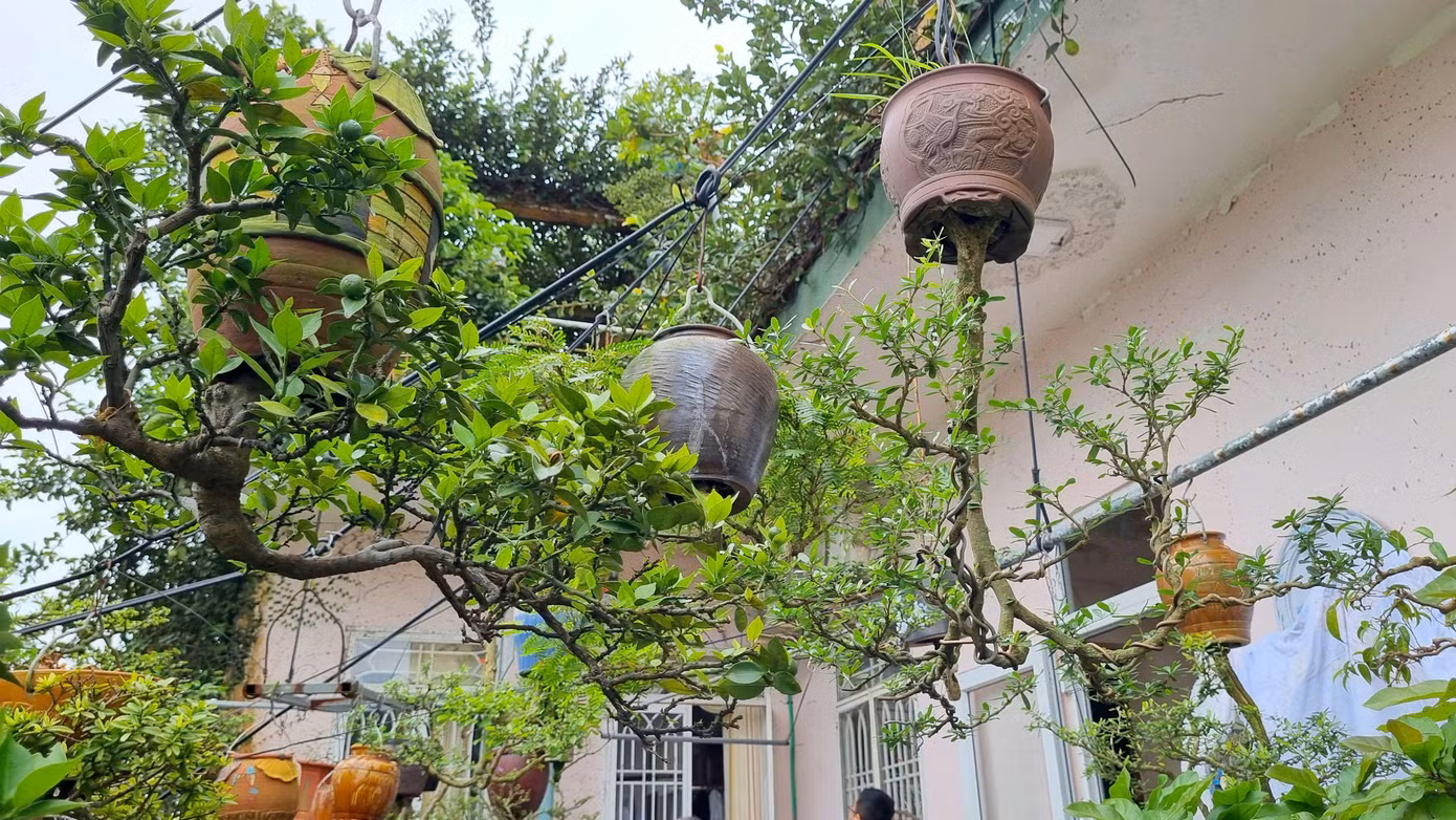 Khu ban công và sân thượng rộng khoảng 80 m2 được ông dùng làm không gian sáng tạo, trưng bày khoảng 100 chậu bonsai ngược.