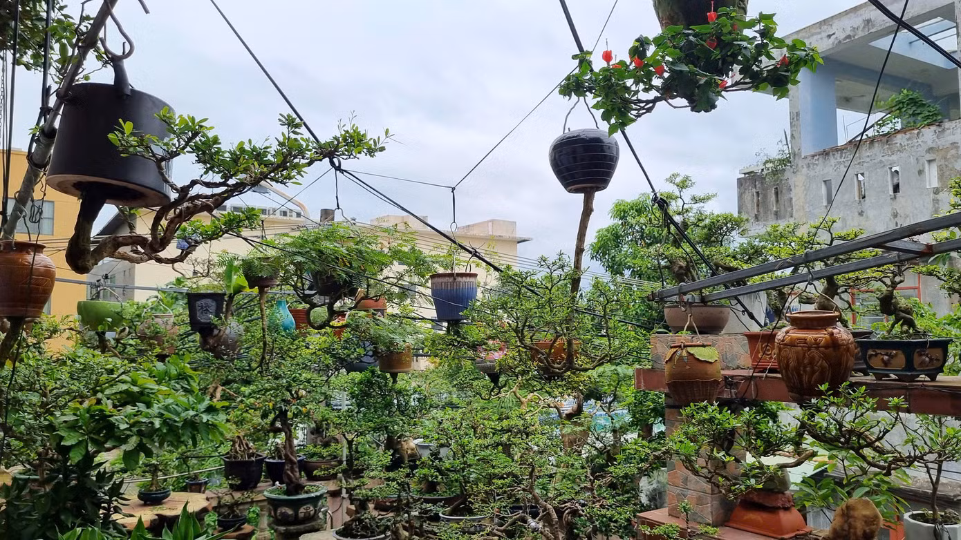 Khu ban công và sân thượng rộng khoảng 80 m2 được ông dùng làm không gian sáng tạo, trưng bày khoảng 100 chậu bonsai ngược.