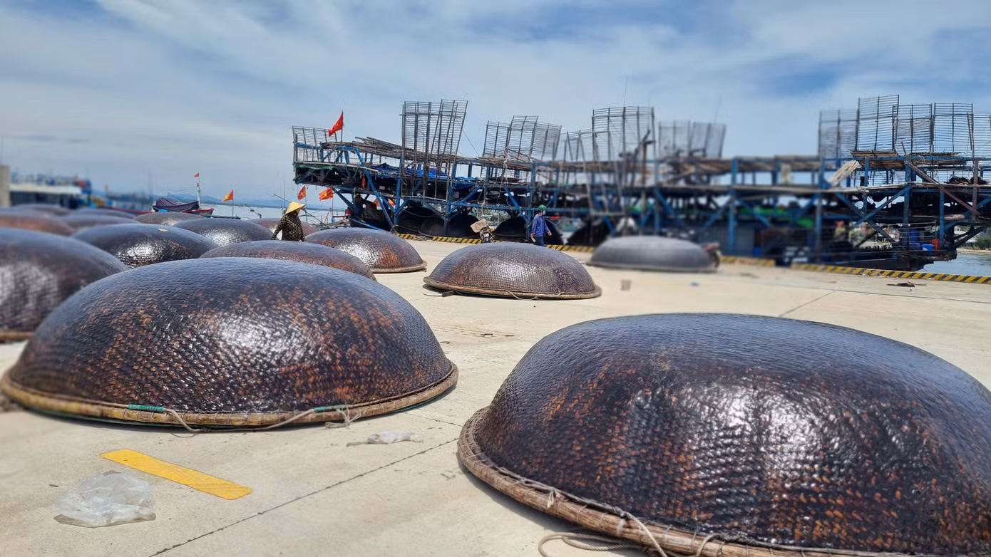 Chiếc thúng chai là phương tiện gắn liền với công việc mưu sinh của ngư dân hành nghề câu mực.