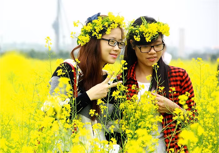 Để có được những bức ảnh đẹp bên hoa cải rực rỡ giới trẻ đã tận dụng khoảng thời gian này để chụp ảnh cùng hoa