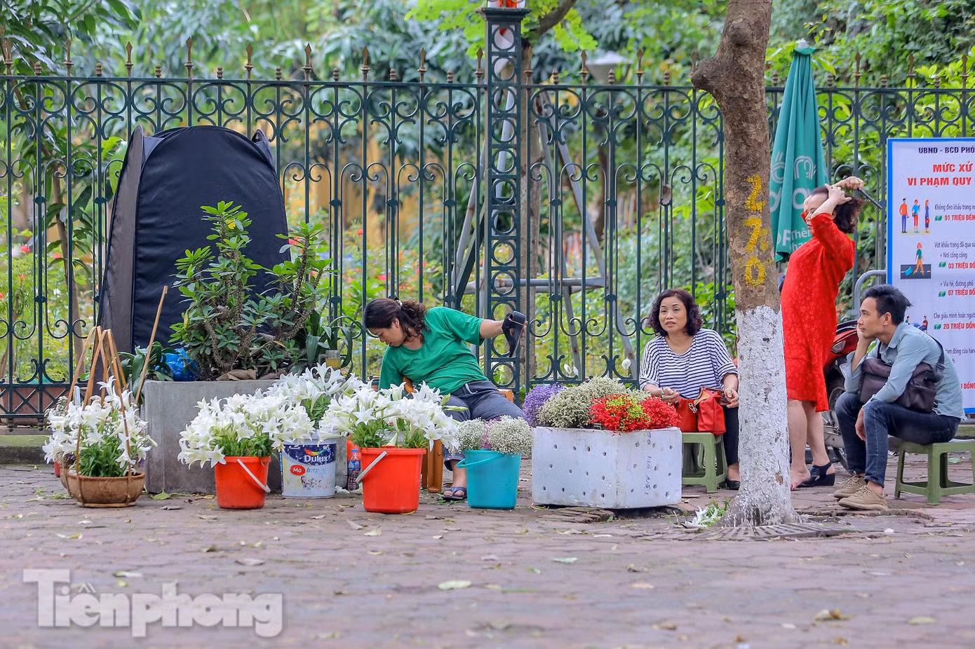 Tiểu thương tranh thủ bán và cho thuê hoa loa kèn cùng với các loại khác để chụp ảnh.