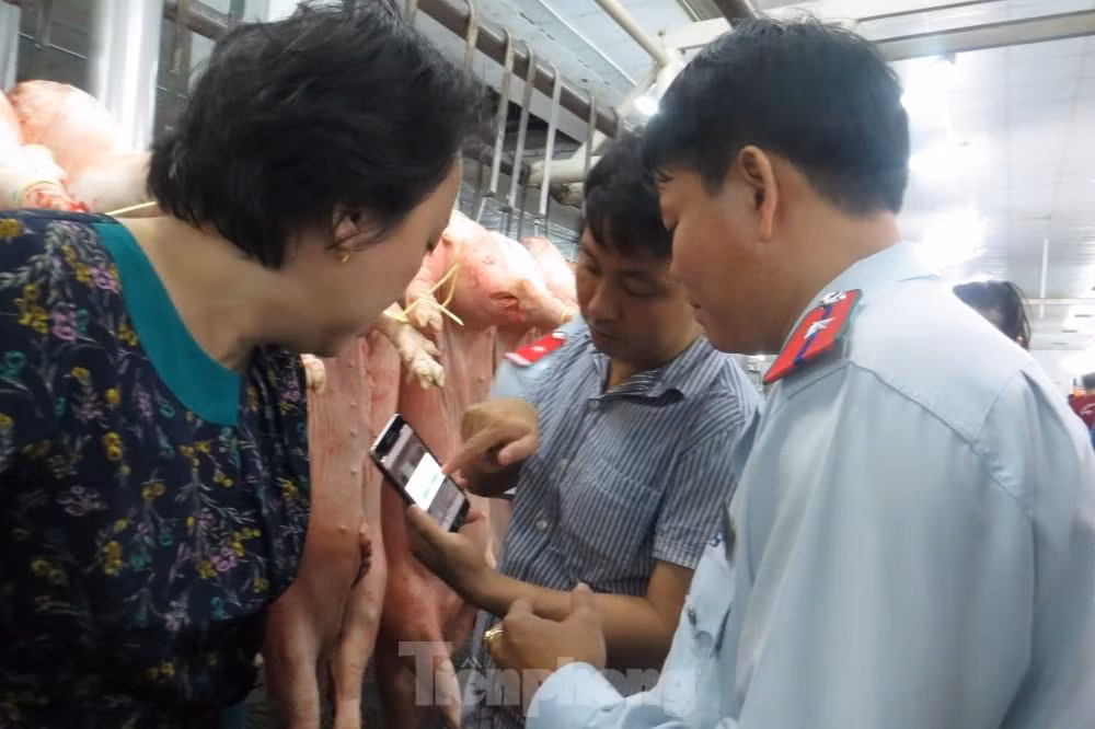 Trưởng ban An toàn thực phẩm TPHCM Nguyễn Khánh Phong Lan kiểm tra thực phẩm tại chợ đầu mối Bình Điền