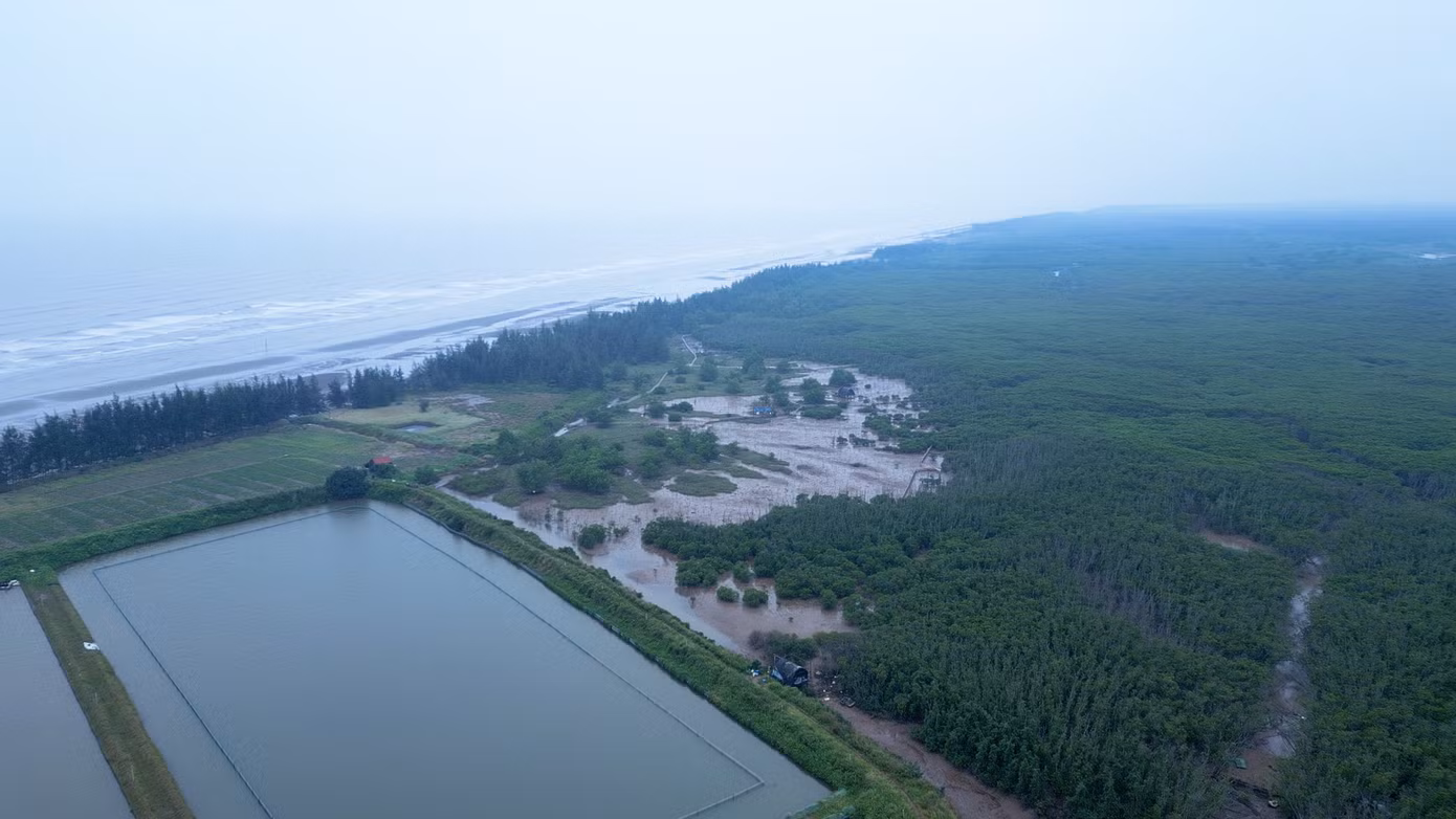 Nhằm bảo vệ và phát triển hệ thống rừng ngập mặn ven biển, ngày 4/10/2021, Thủ tướng Chính phủ đã phê duyệt Đề án bảo vệ và phát triển rừng vùng ven biển nhằm ứng phó với biến đổi khí hậu và thúc đẩy tăng trưởng xanh giai đoạn 2021-2030.