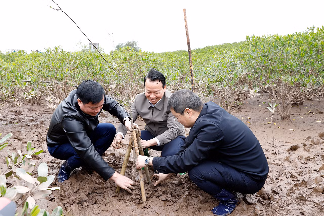 Bộ trưởng Đỗ Đức Duy (giữa) cùng các đại biểu trồng cây ở Khu bảo tồn đất ngập nước Thái Thuỵ sáng 4/2.