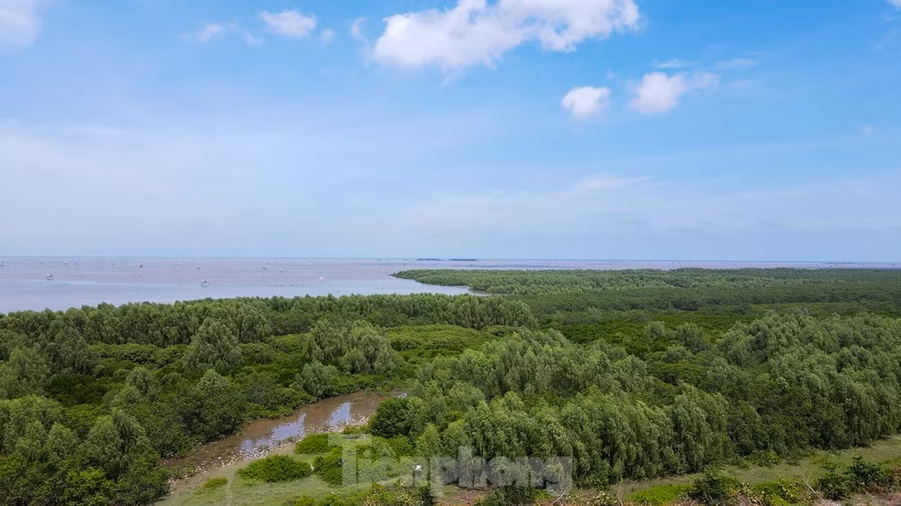 Việt Nam hướng tới bảo tồn các giá trị tự nhiên và đa dạng sinh học. Trong ảnh là Khu bảo tồn thiên nhiên đất ngập nước Tiền Hải của tỉnh Thái Bình. Ảnh: Trường Hùng.