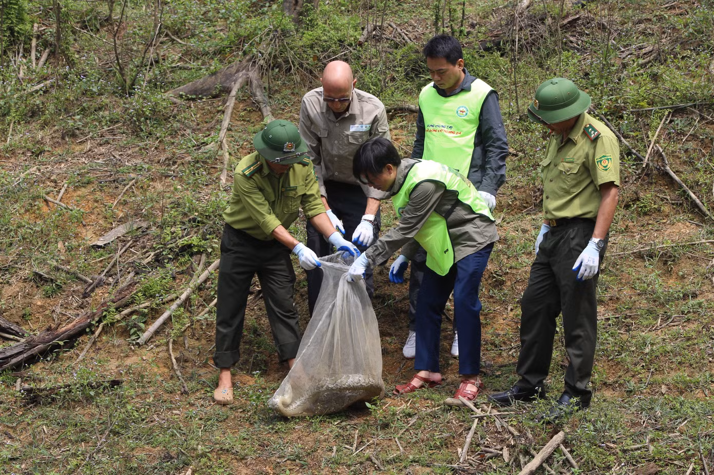 VQG Vũ Quang thực hiện tái thả trăn về rừng, chiều 22/5. Ảnh: Phạm Trường