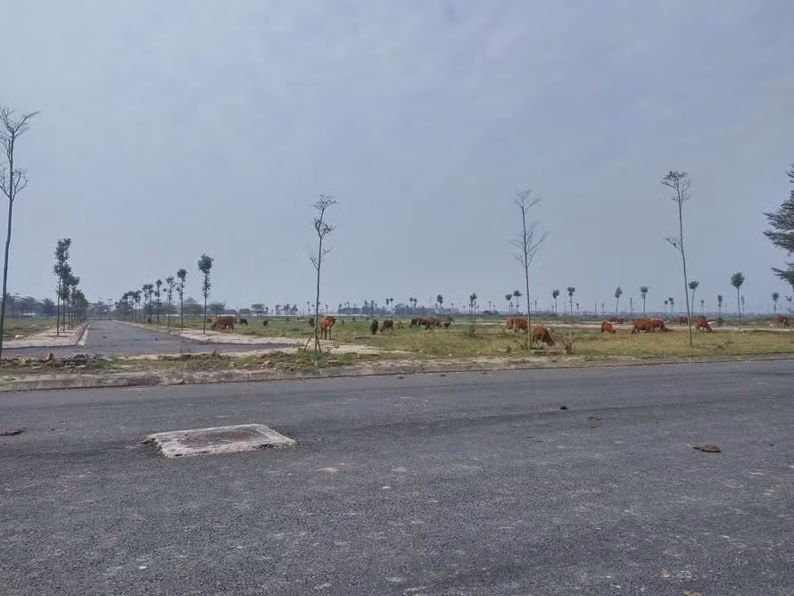 Luật Đất đai (sửa đổi) sẽ có 7 vấn đề mới. Ảnh minh họa.