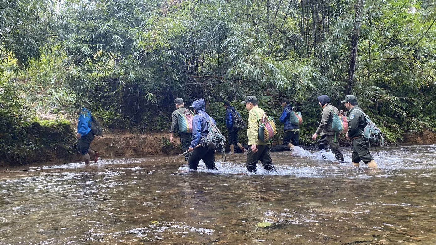 Đoàn chuyên gia đi đến địa điểm tái thả.
