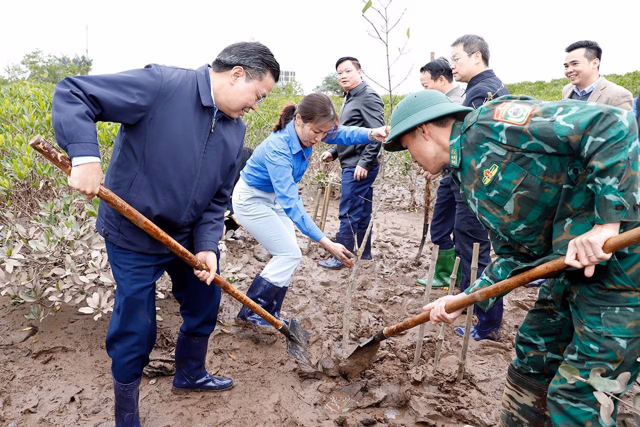 Các đại biểu tham gia trồng rừng ngập mặn.