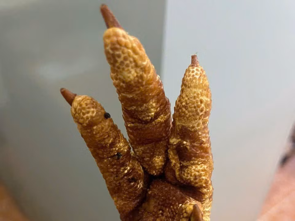 Chân gà được chiên sẵn, đóng trong các bao tải. Chân gà được chiên sẵn, đóng trong các bao tải.