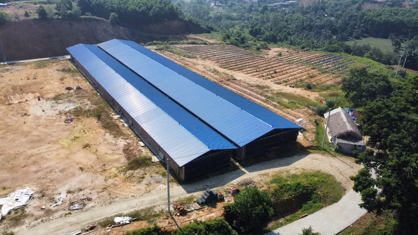 Trang trại của anh Thảo có diện tích 2ha nằm tại khu 6 xã Bằng Doãn, huyện Đoan Hùng.