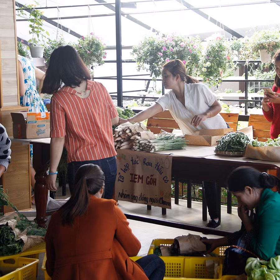 Nhóm phụ nữ người Churu giới thiệu rau hữu cơ Iem Gõi.