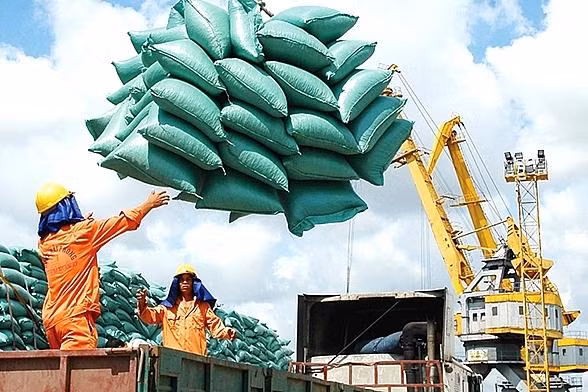 Xuất khẩu gạo dự báo tăng mạnh vừa nguồn cung khan hiếm, và giá bán cao