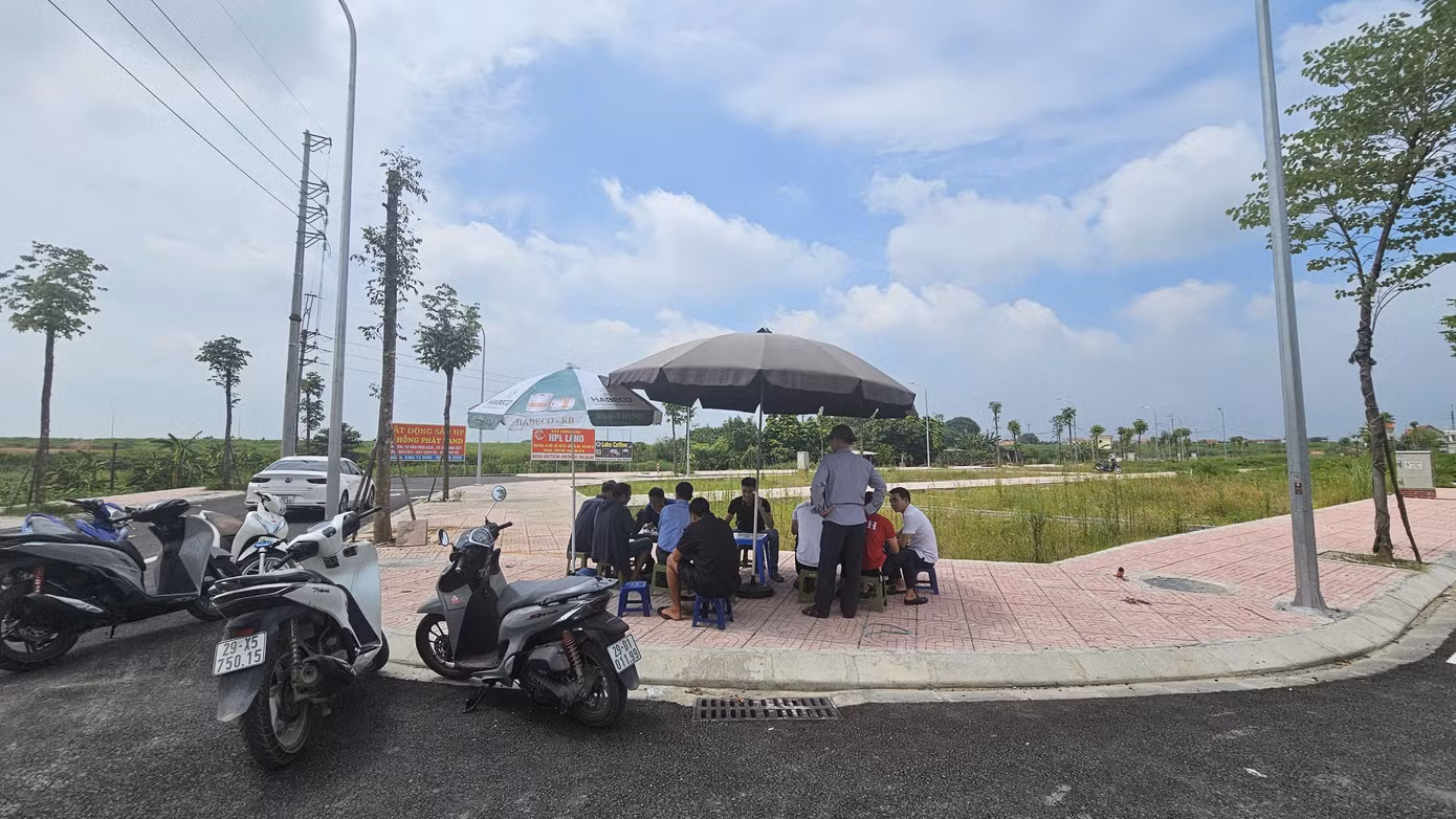 Có hiện tượng "cò đấu giá", "thông đồng,... tạo mặt bằng "giá ảo" để thao túng thị trường.