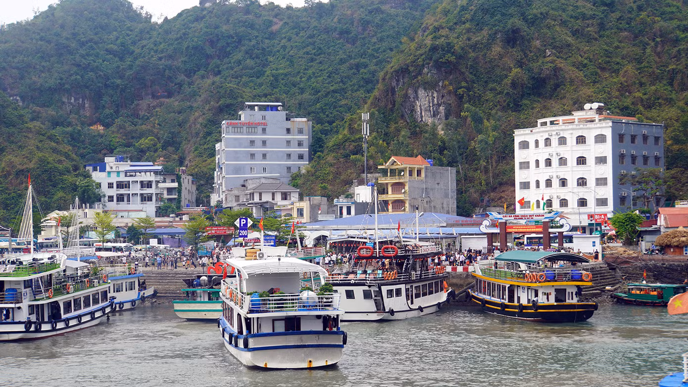 Cao điểm 9h và 15h, hàng chục tàu, du thuyền cập bến Cái Bèo đón khách đi tour tham quan, ngắm vịnh với nhiều hoạt động hấp dẫn như: tắm biển, chèo thuyền kayak, thăm quan làng chài cổ Việt Hải...