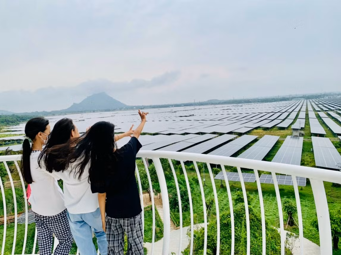 Thế hệ trẻ hào hứng với ánh dương tỏa sáng trên thảm gương pin xanh khổng lồ