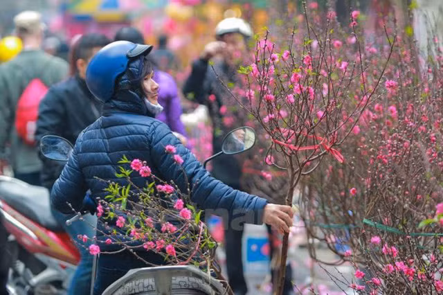 Thủ tướng sẽ quyết định số ngày nghỉ Tết Nguyên đán Quý Mão năm 2023 là 7 hoặc 9 ngày liên tục.