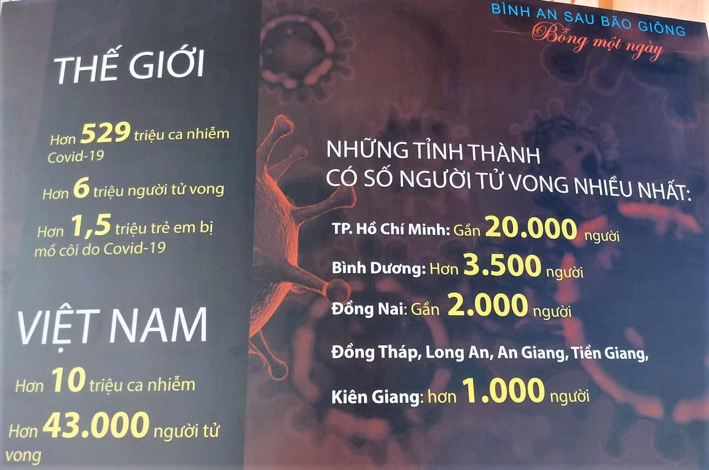 Các tỉnh, thành phố có số người tử vong do COVID-19 cao